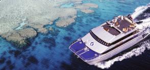 Mike Balls Spoil Sport